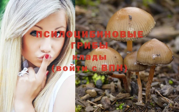 дживик Алексеевка