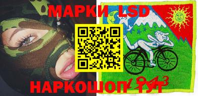 бошки Шелехов