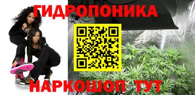 бошки Шелехов