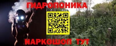 бошки Шелехов