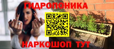 бошки Шелехов