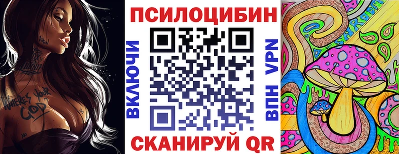 Псилоцибиновые грибы Psilocybe  OMG маркетплейс  Находка 