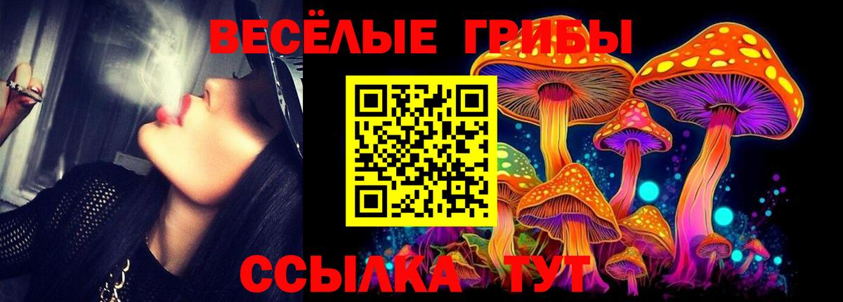 Псилоцибиновые грибы мицелий  Вход с VPN  Галлюциногенные грибы GOLDEN TEACHER  Находка 